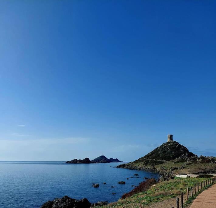 Superbe Bord De Mer Aux Sanguinaires *